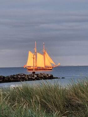 Großsegler vor Damp.jpg - Die Ostsee ist nicht weit... - 339.000,00&nbsp;EUR Kaufpreis, ca.&nbsp; 96,00&nbsp;m&sup2;&nbsp;Wohnfl&auml;che