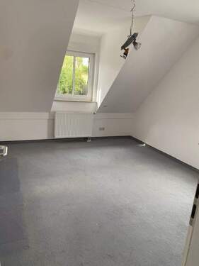 Bild11 - 