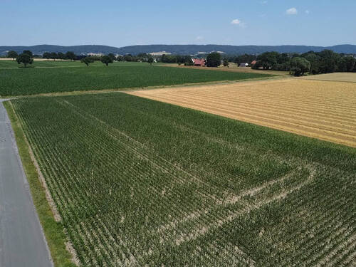 Grundstück - Grundstück zum Kaufen in Bad Oeynhausen