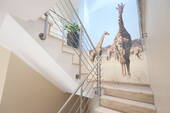 Treppenhaus - 