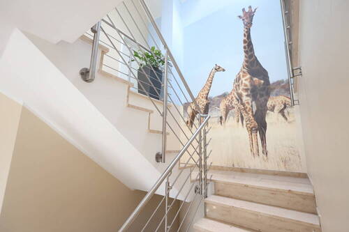 Treppenhaus - 