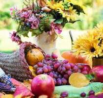 Perfekte Wohnung für Menschen mit Platzbedarf: Z.B. Homeoffice undoder Kinderzimmer - Berlin Französisch Buchholz