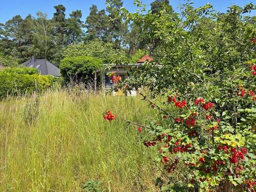 auf dem Grst. - Grundstück in Strausberg zum Kaufen