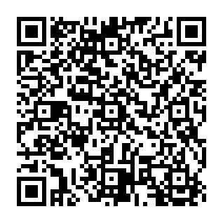 QR-Code - 