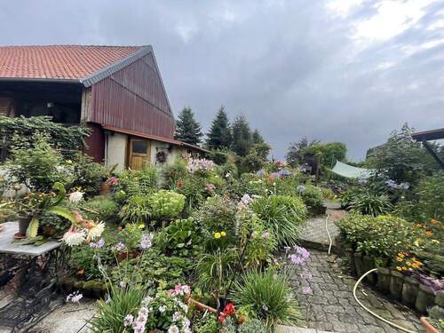 Bild15 - 