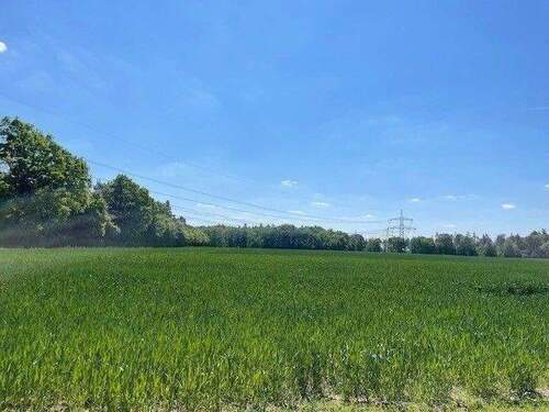 Blick über die Felder von Balkon _EG JAK - Natur vor der Tür und ein wunderschöner Blick über die Felder!