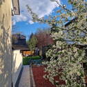 Seitlicher Gartenbereich - 