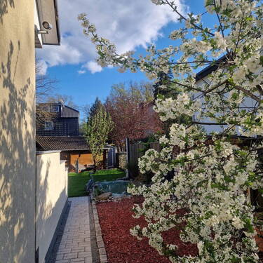 Seitlicher Gartenbereich - 