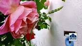 Impression Eingangsbereich - 