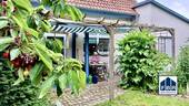 Hier ist gut Kirschenessen - 