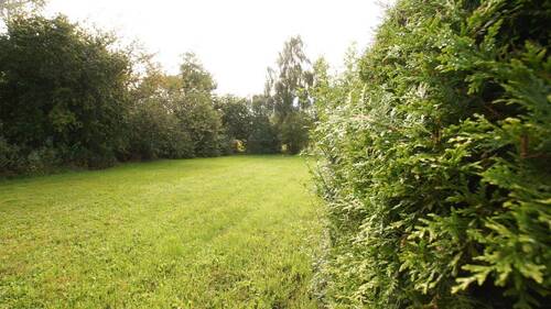 BILD12 - 