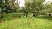 BILD14 - 