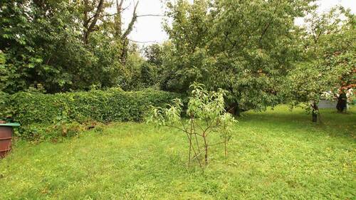 BILD14 - 