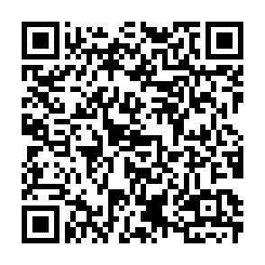 QR-Code - 