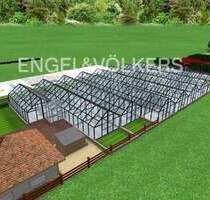 Gärtnerei- und Gewerbeareal zu verkaufen - Kirchlinteln Bendingbostel