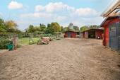 Paddock - 