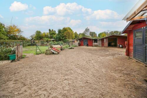 Paddock - 