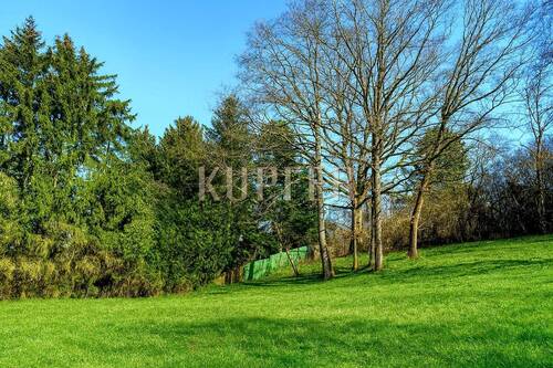 © KI Baugrund Forchheim - Idyllisches Hanggrundstück in unverbauter Waldrandlage!