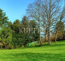 Idyllisches Hanggrundstück in unverbauter Waldrandlage! - Forchheim