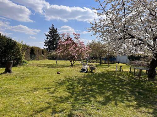 Garten.jpg - 