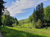 Natur pur! - 