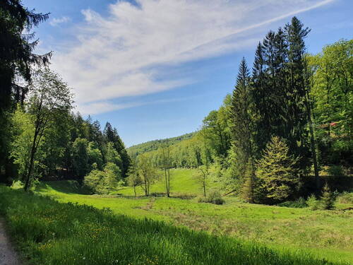 Natur pur! - 