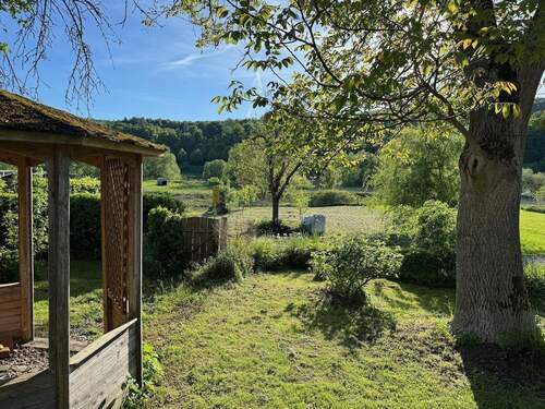 Blick in Vordergarten - 