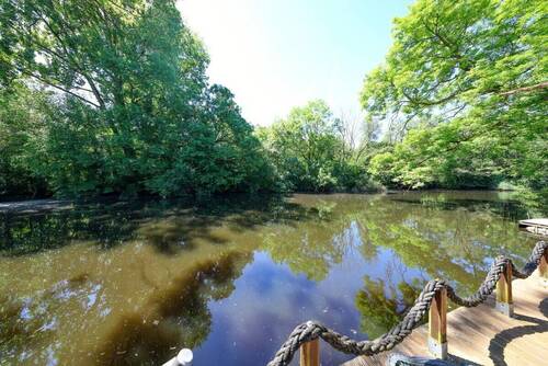 Ausblick vom Steg - 