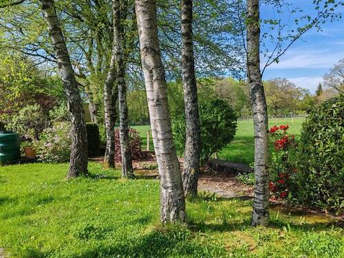Blick auf angrenzendes Wiesenland - 
