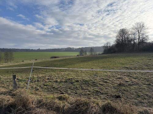 angrenzende Weidefläche - 