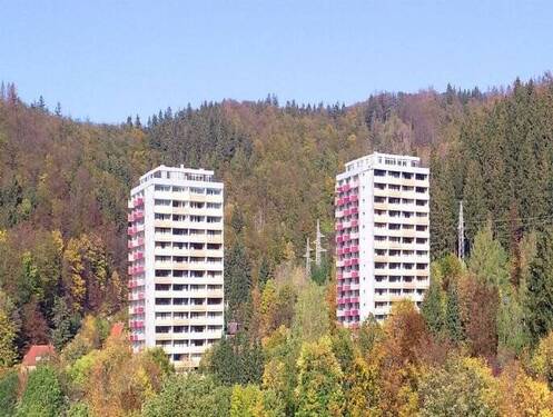 Aussenansicht - 3 Zimmer Etagenwohnung in Bad Lauterberg