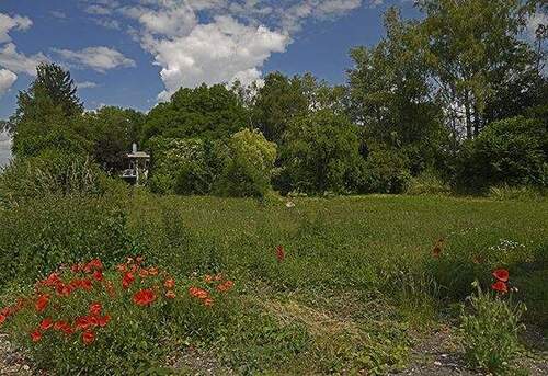 Grundstück im Frühling - Grundstück in Finsing / Neufinsing