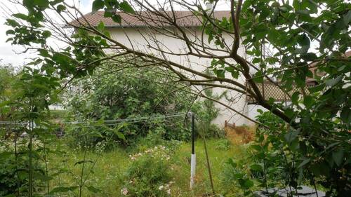 Ansicht Garten2.jpg - 