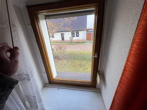 Fenster - 