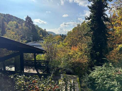 Bild 13 neu.jpg - 