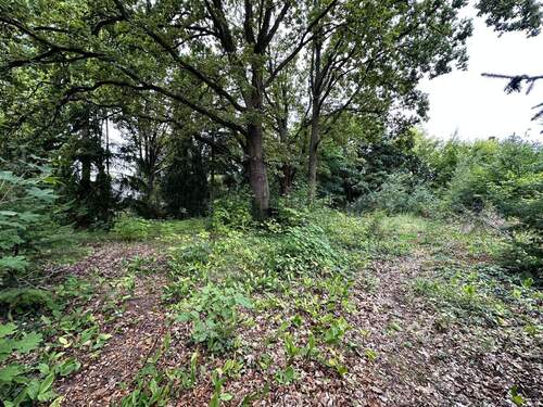 Weitere Ansicht II - 