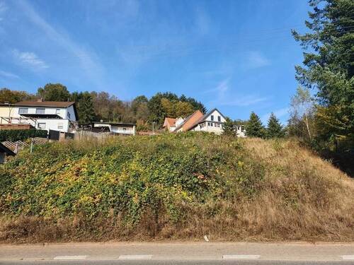 20 - Südlage Großes Baugrundstück mit Fernblick Eppelborn OT