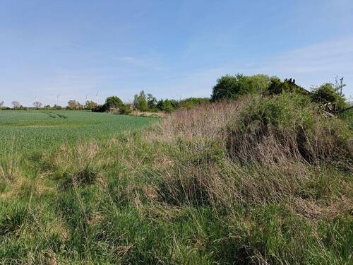 angrenzende Ackerfläche - 