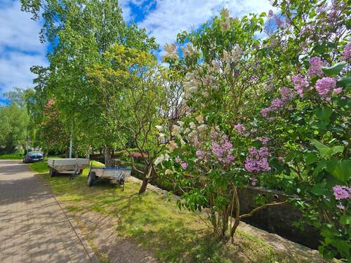 Blick auf das Gegenüber - 