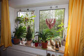 20240417-IMG_8504.jpg - 