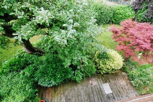 Garten - 