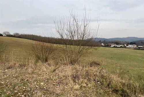 IMG_5251 - Grundstück in Nohfelden