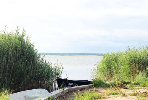 Stichhafen-am-Bodden - 