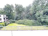 Blick vom Balkon in die Natur - 