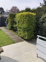 Terrasse / Gartenbereich - 