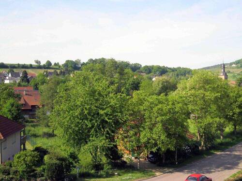 Ausblick - 3 Zimmer Etagenwohnung in Klingenmünster