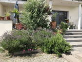 Bild 5 - 