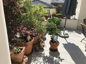 Bild 6 - 