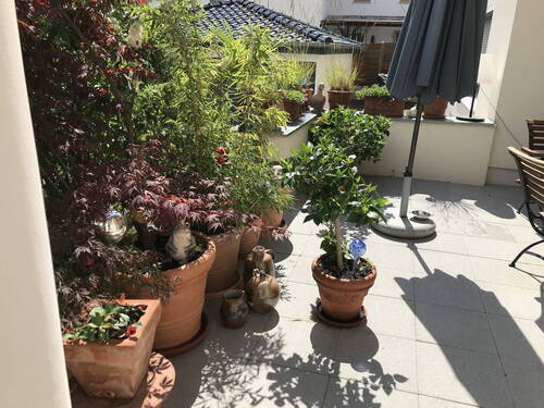 Bild 6 - 