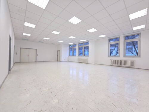 Büro - 2 Zimmer Büro zur Miete in Kehl